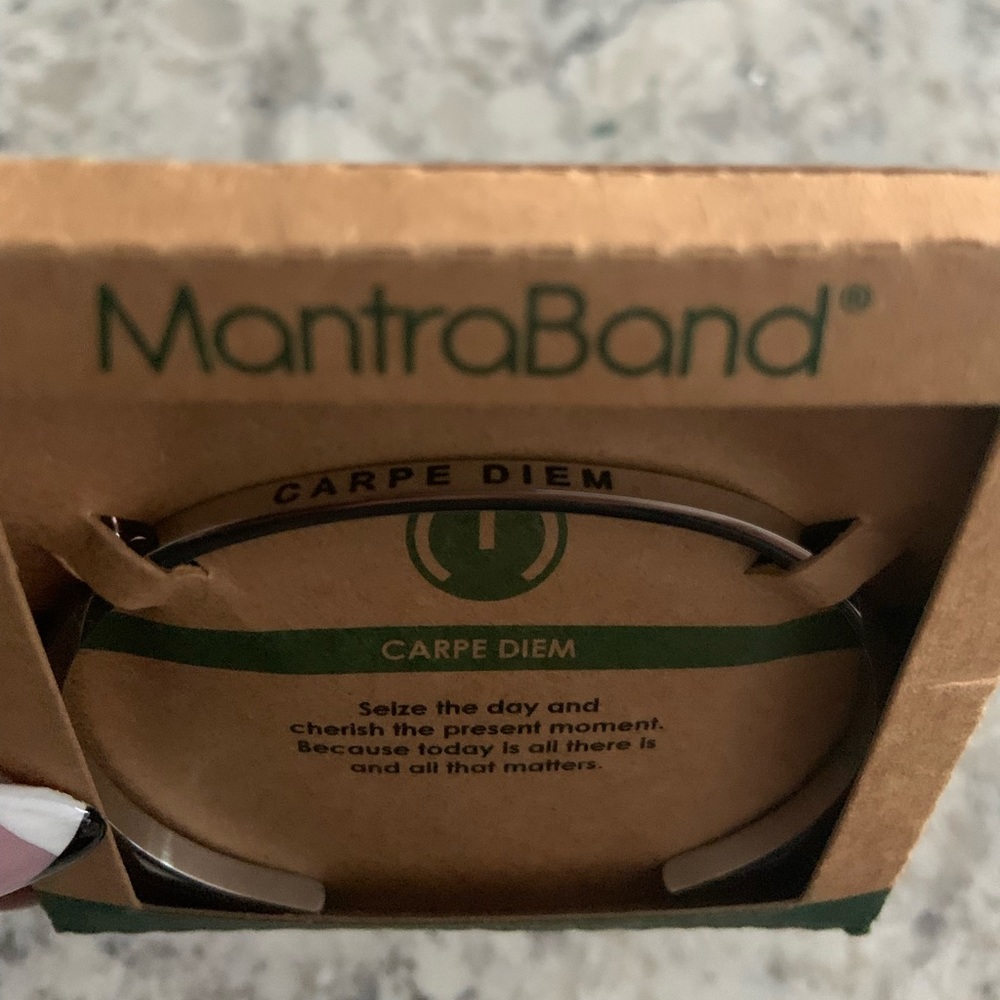 Carpe Diem - Cease the Day Mantra Band
